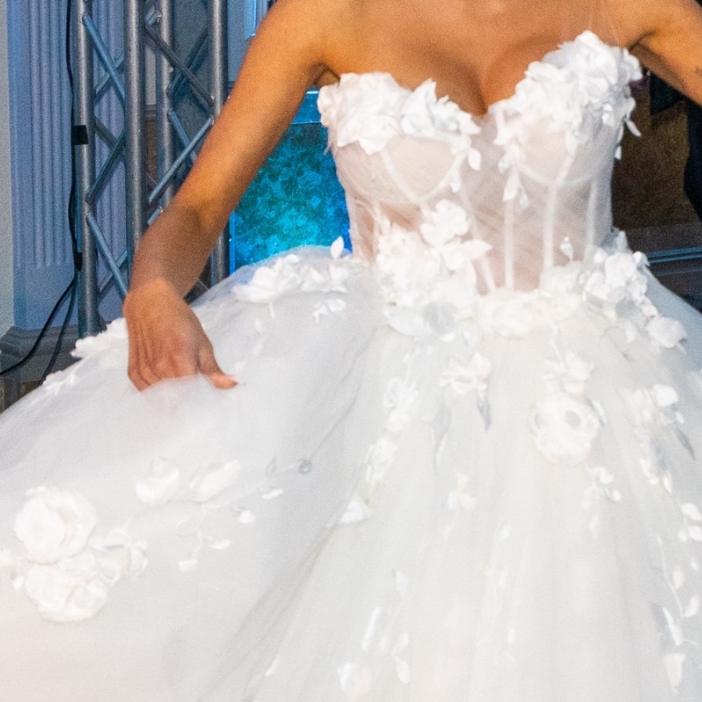 Wedding dress Pnina, Cost $13,500, good condition just needs to be cleaned.